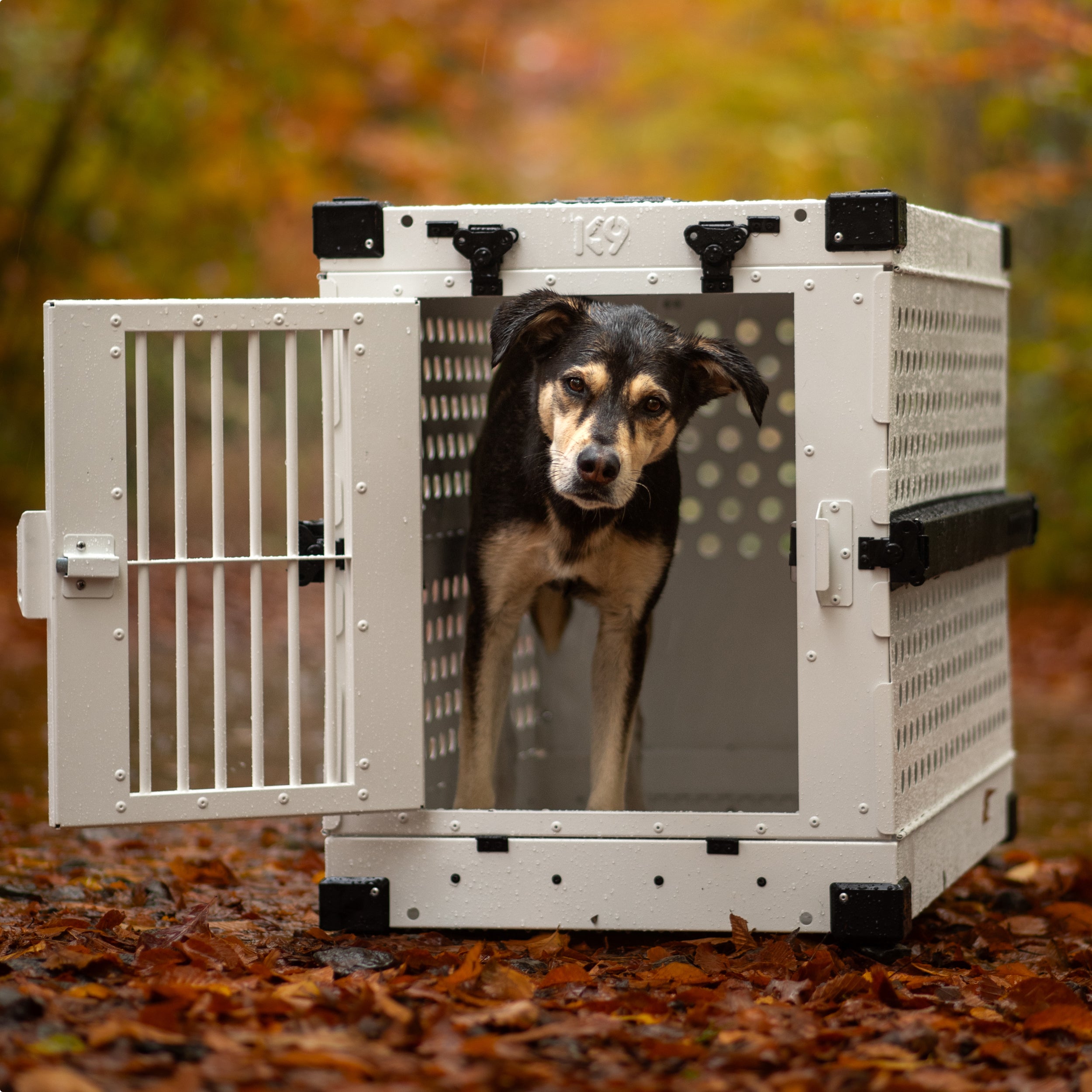 Heavy Duty Collapsible Dog Crate – Medium Long – K9 Kennel Boss