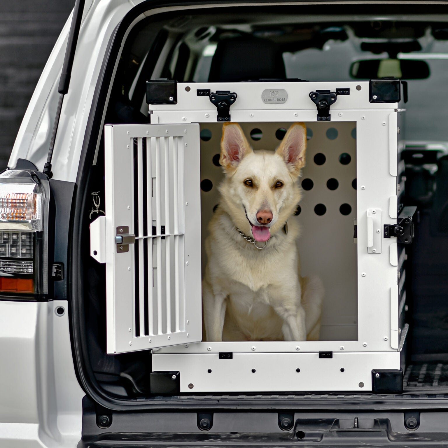 Photo inspiration: Visual Reference: Crates For Dogs Indoor 48 Inch Heavy Duty Indestructible Dog