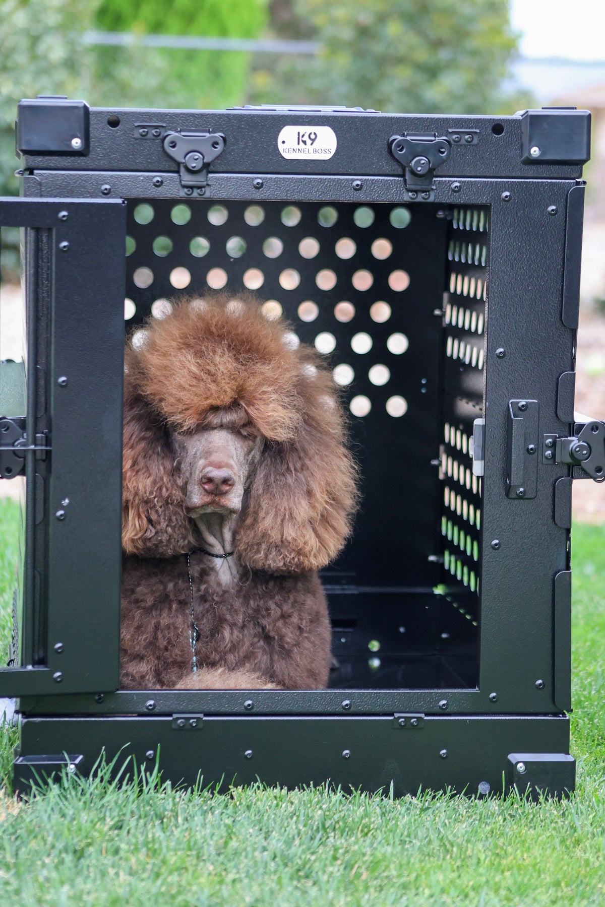 K9 Kennel Boss - Heavy-duty, fully collapsible aluminum dog crates