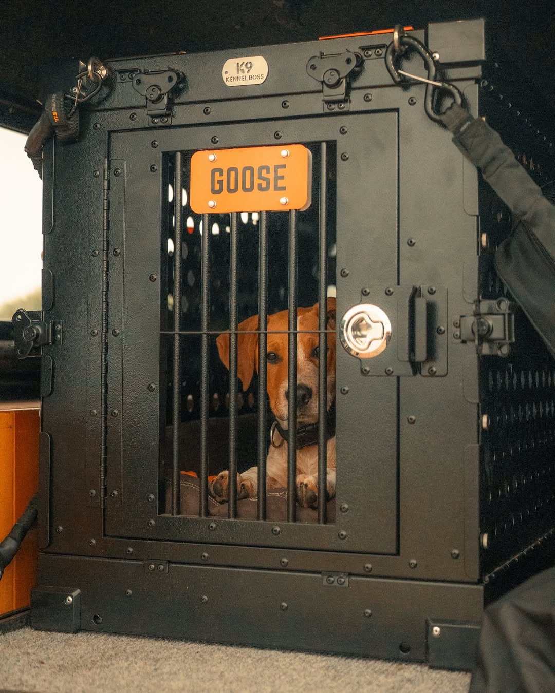 K9 Kennel Boss - Heavy-duty, fully collapsible aluminum dog crates