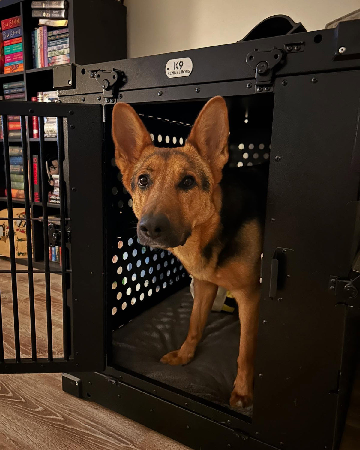 K9 Kennel Boss - Heavy-duty, fully collapsible aluminum dog crates