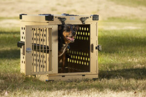 dog kennel inch crate 2pet foldable heavy duty metal collapsible series a big cage for dogs large a4pet soft air Air travel airline approved cargo pet carrier sizes with wheels xl crates airplane safe akc canine good citizen evaluator test items puppies sale registered urban akinerri folding aluminium cars aluminum suv trucks kennels amazon basics portable amazonbasics american airlines size k9 American bully animal animaze 2 door anti anxiety are covers breathable idea dangerous illegal in europe at home ballistic bed best box car uk destructive training separation flying plane escape artists medium to buy durable proof indestructible indoor modern pop up reddit sided cages inside pen bite boss break out bullet bullocks cali camping ballistics tuff pad camper tent sportable canvas seat carriers & carrying cbk chain link cheap chew armored chewy clear design philippines images marikina manufacturers meaning playpen price wire xxl - easy storage bunnings canada costco diggs directions rv giant breed how fold kmart near me on petco pets petsmart ph plastic reviews south africa star target tray used video walmart cover divider x-large australia run mesh puppy collapsing coolest country cove products cr82 cleaning custom vans vehicles dancing decorative deluxe designer diamond revol stores double dimensions of extra diy boarding back truck brands flight house outdoor prices xlarge 36x23x25 and built backseat international furniture platform by x that indoors pickup stackable den enclosures impact enclosure vehicle locks panels kenneling flint mi aggressive anxious the homes nampa sumter sc overnight pens play fence yard runs shipping supplies transport accessories transportation whining doggoods stacked dover easily ecoflex elite field elitefield enclosed end table exercise strength strong extreme consumer fabric carry away down stainless steel instructions mat trap panel nz youtube For your four paws keeper Framed Door Kennel frisco single ultimate great choice guardian gear gunner knock off hard havis pitbull gauge high quality highest rated do you collapse train set huge hunting equipment i iata guide icrate review promo code hybrid resistant floor industrial inescapable Intermediate internet's itori jespet jumbo k9 elevated coupon deep military discount orthopedic tough rectangle breeders castle garage net tactical club store clearance kennelstore protection centre k9ballistic kelixu boxes kennelclub tacoma wa kong roof lucky duck ruff land life stages lifestages lightweight lovupet lucidium luckup black Lucky Duck intermediate fan chart premium master merle midwest ultima pro grade most secure multifunctional new age nice no nylabone open orvis outside pawhut golden retriever expandable shop petmaker petmate sky 40 ultra vari petsfit pink police german shepherd popup dane building heater tractor supply trailer zooplus skids powder coated pp40 select empire professional proselect night ravenwood ray allen lodge rough side entry performance Ruff Maxx ruffland safest shallow creek skudo small smith smonter snoozer soundproof sport sportpet designs strongest sturdy sudbury super tarter temporary top paw toughest transk9 tsa variocage veehoo very vibrant replacement two walnest walters welded when should go remove white why wooden working xtreme zampa zenstyle