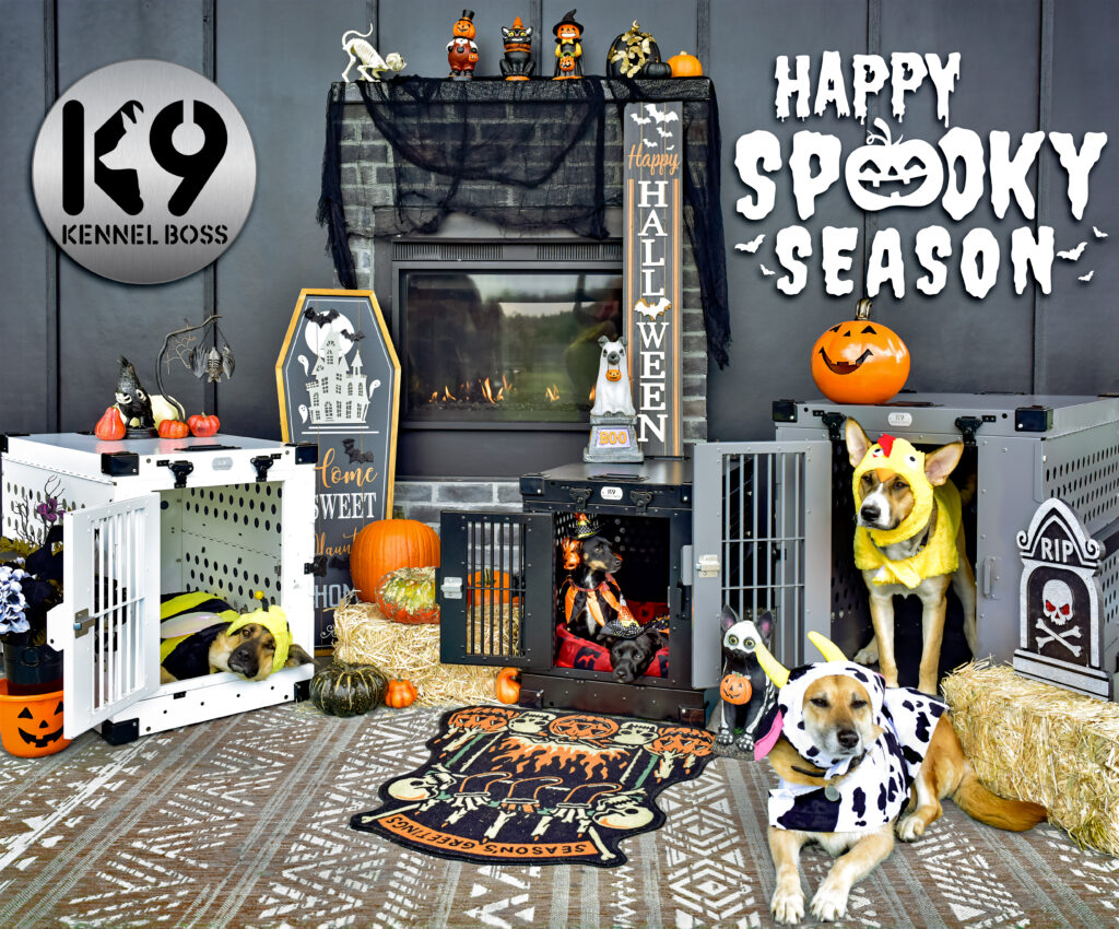 It's official, spooky season has landed! Take 10% off all in stock products on k9kennelboss.com! Use coupon code: Spooky at checkout! #halloweendog#halloweendogsofinstagram#kennels#kennelclub#dogkennel#dogkennels#k9kennelboss#dogcostumes#spookyseason#rescuedog#dogcrate#doglover#doglife#sale *Offer Expires: 11/01/23, not valid with any other discount or coupon, while supplies last, no rain-checks.